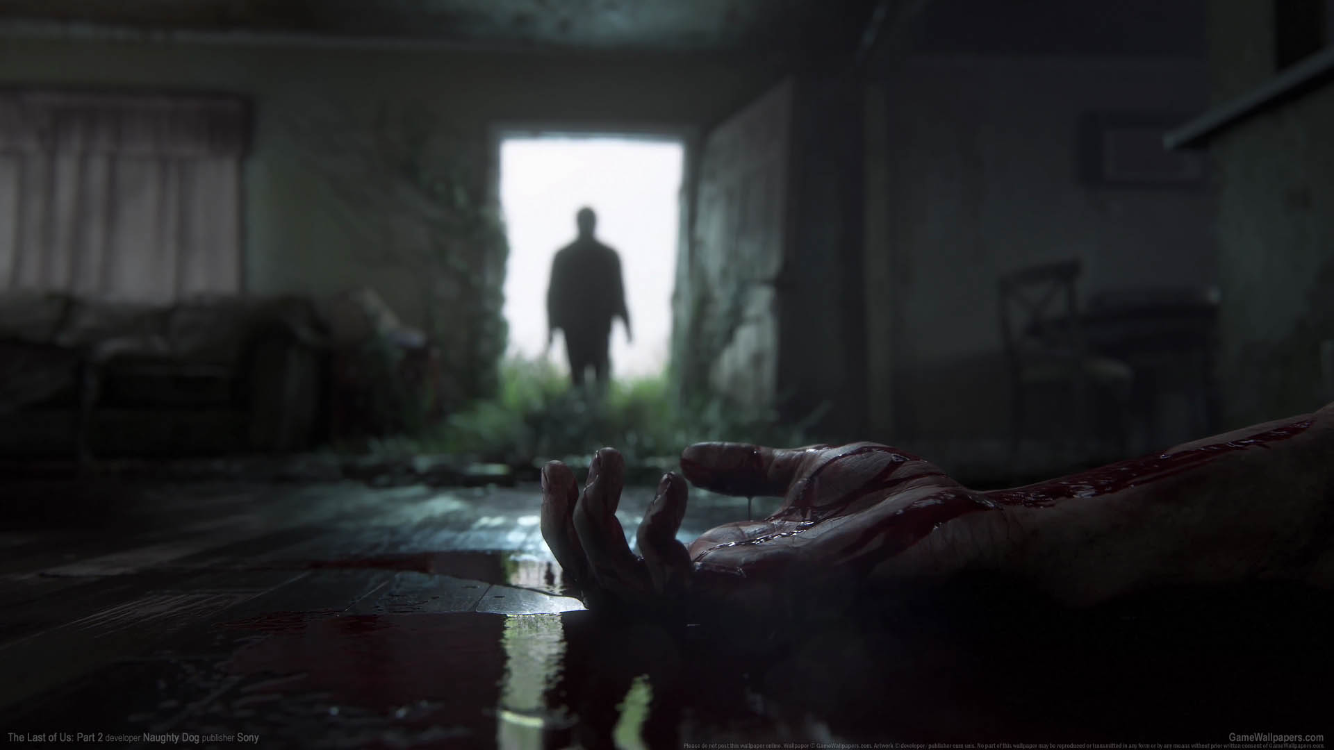 Fond Decran The Last Of Us 2 The Last of Us: Part 2 fond d'écran 01 1920x1080