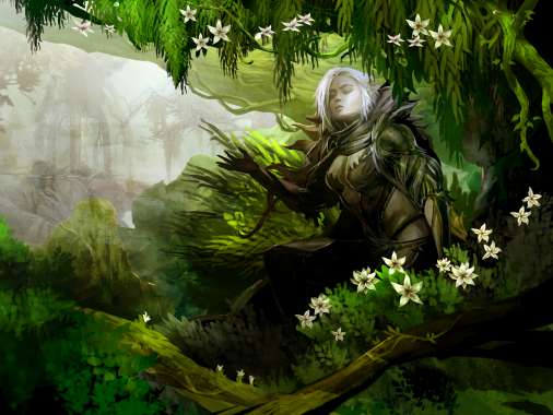 Guild Wars 2 Mobile Horizontal fond d'cran