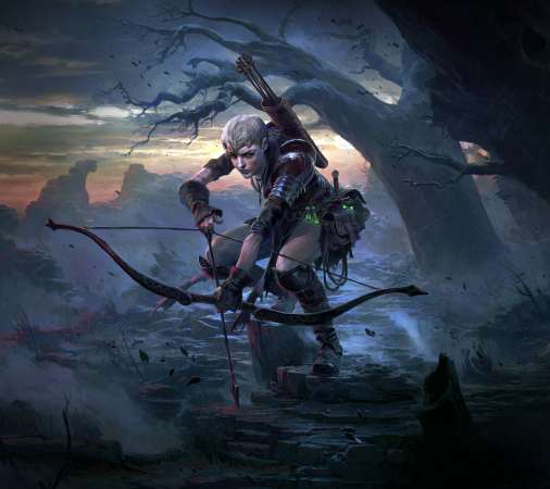 Path of Exile 2 Mobile Horizontal fond d'cran