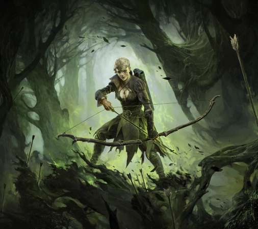 Path of Exile 2 Mobile Horizontal fond d'cran
