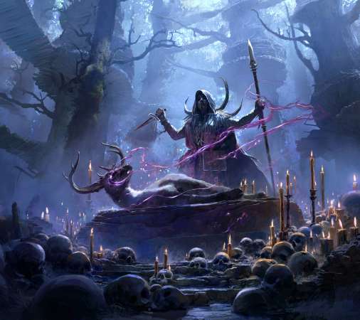 Path of Exile 2 Mobile Horizontal fond d'cran