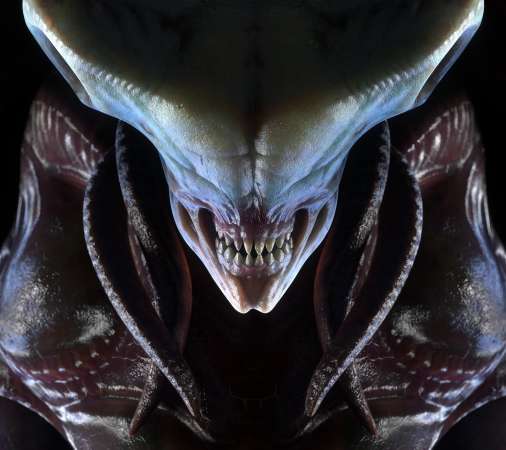 Phoenix Point Mobile Horizontal fond d'cran