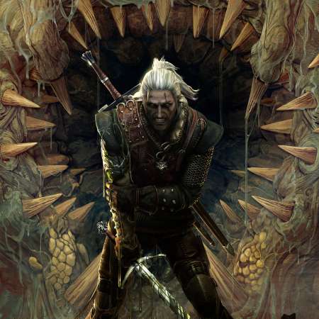 The Witcher 2: Assassins of Kings Mobile Horizontal fond d'cran