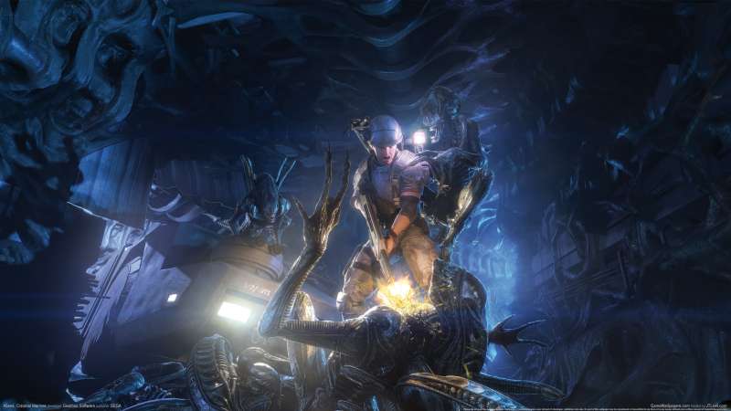 Aliens: Colonial Marines fond d'cran