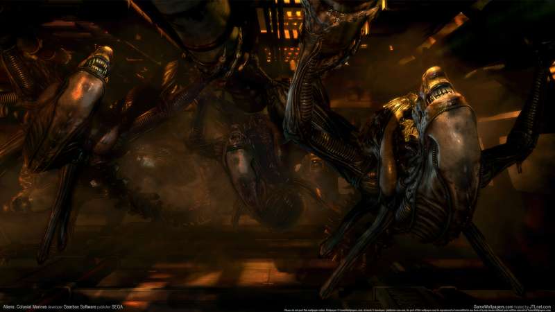 Aliens: Colonial Marines fond d'cran