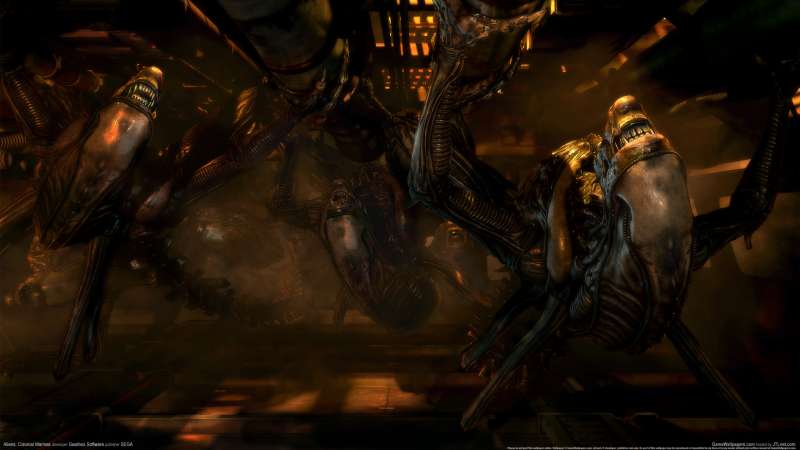 Aliens: Colonial Marines fond d'cran