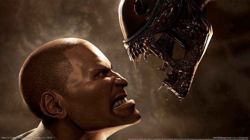 Aliens Vs. Predator fond d'cran