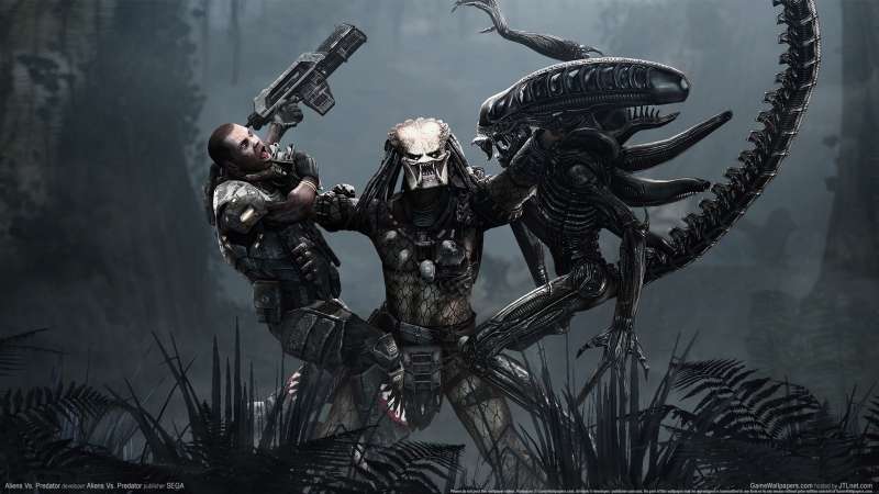 Aliens Vs. Predator fond d'cran