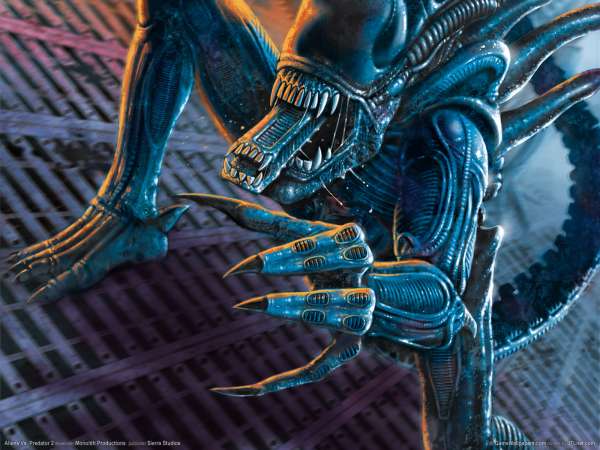 Aliens Vs. Predator 2 fond d'cran