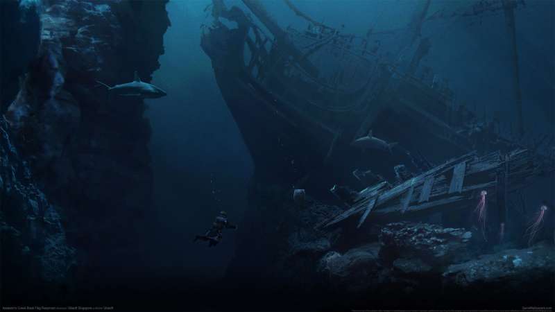 Assassin's Creed: Black Flag Resynced fond d'�cran
