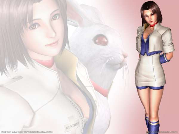 Bloody Roar 3 fond d'cran