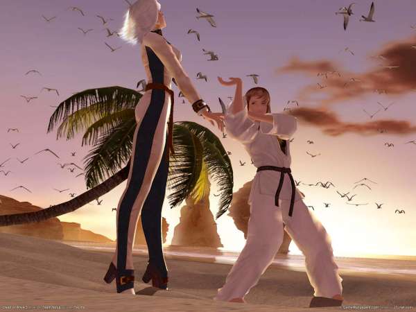 Dead or Alive 3 fond d'cran