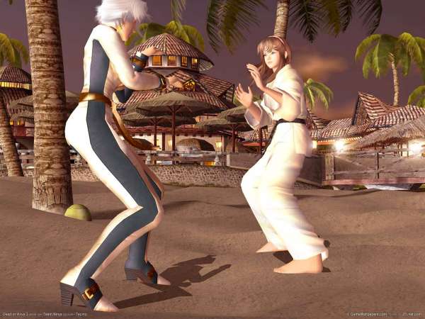 Dead or Alive 3 fond d'cran