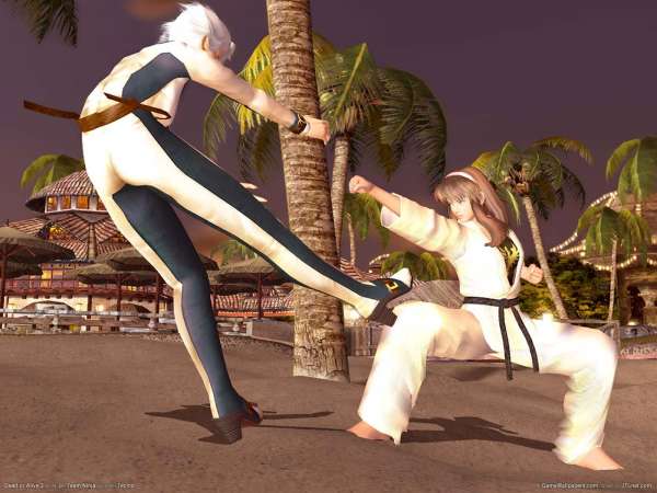 Dead or Alive 3 fond d'cran