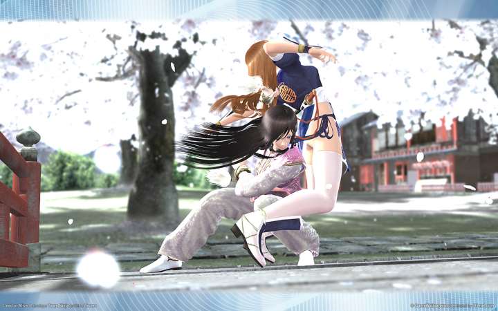 Dead or Alive 4 fond d'cran