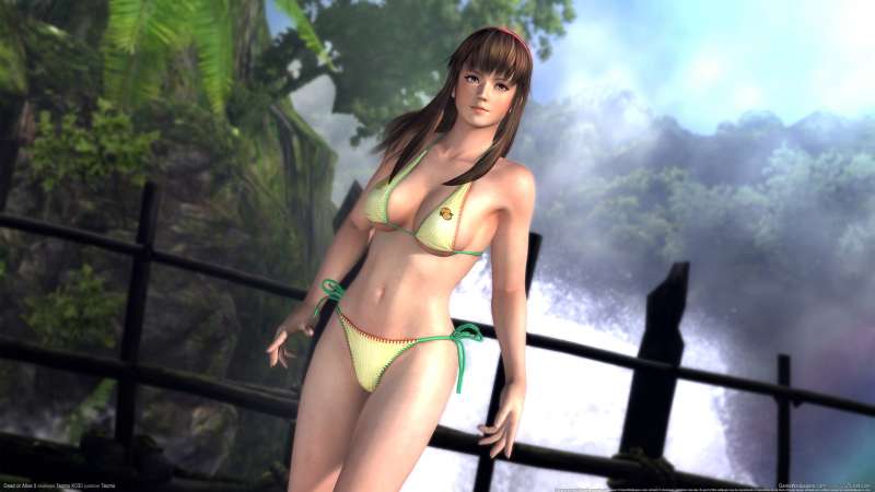 Dead or Alive 5 fond d'cran