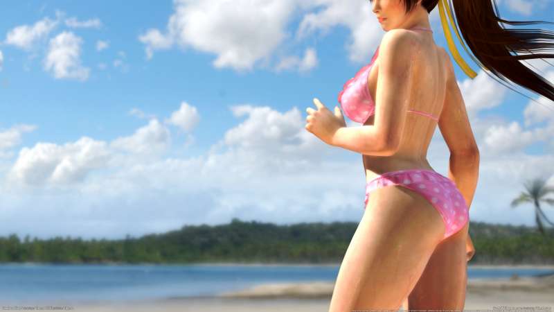 Dead or Alive 5 fond d'cran