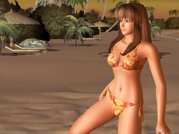 Dead or Alive Xtreme Beach Volleyball fond d'cran