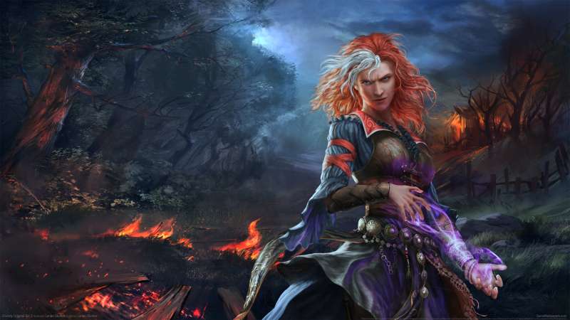 Divinity: Original Sin 2 fond d'cran