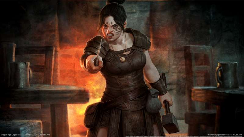 Dragon Age: Origins fond d'cran