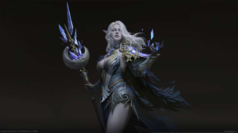 Dragonheir: Silent Gods fond d'�cran