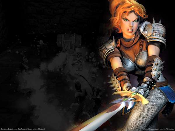 Dungeon Siege fond d'cran