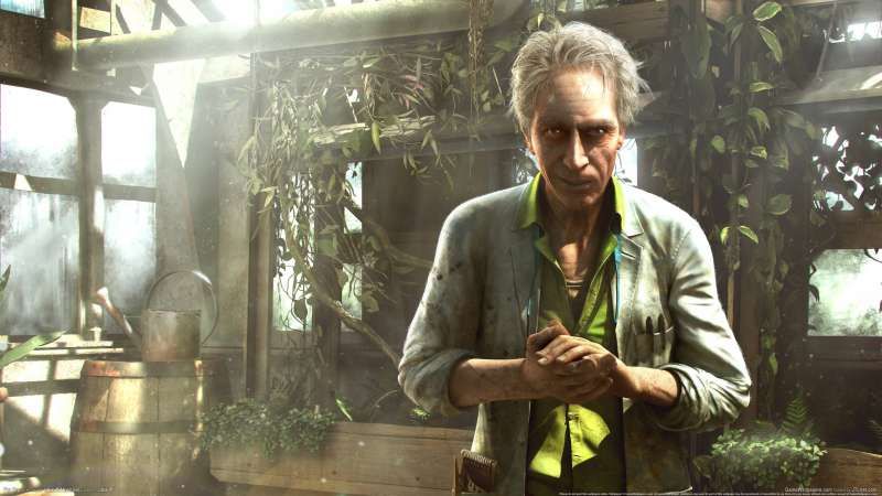 Far Cry 3 fond d'cran