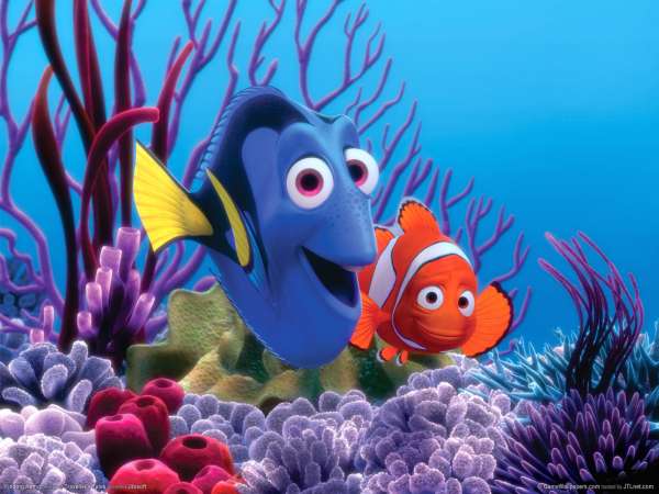 Finding Nemo fond d'cran