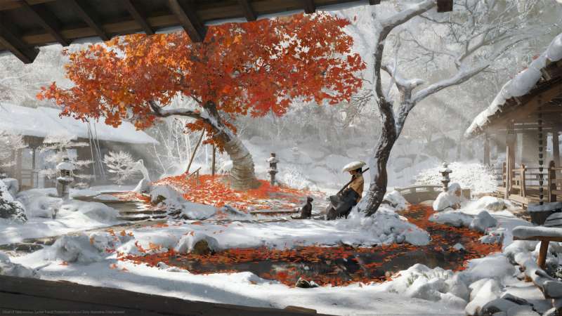 Ghost of Yotei fond d'�cran