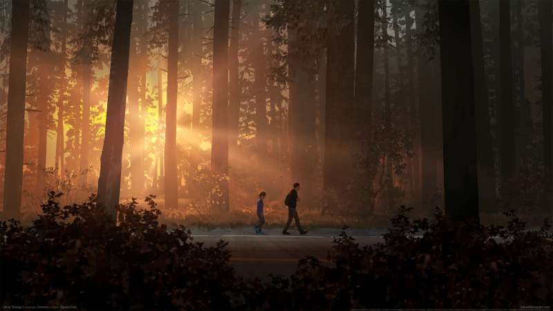 Life is Strange 2 fond d'cran