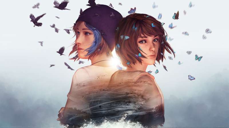 Life is Strange Remastered Collection fond d'cran