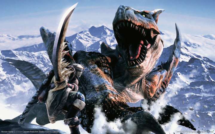 Monster Hunter 2 fond d'cran