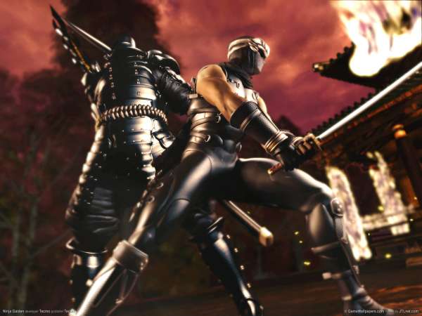 Ninja Gaiden fond d'cran