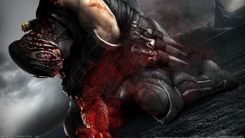 Ninja Gaiden 3 fond d'cran