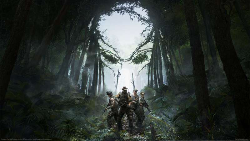 Predator: Hunting Grounds fond d'cran