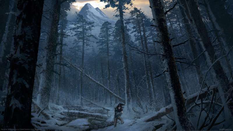 Rise of the Tomb Raider fond d'cran