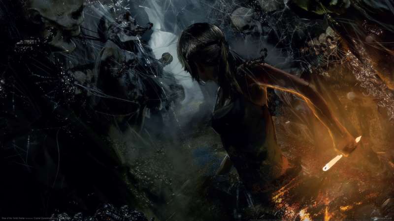 Rise of the Tomb Raider fond d'cran