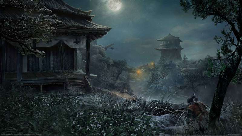 Sekiro: Shadows Die Twice fond d'cran