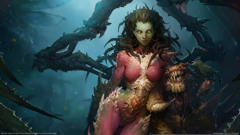 StarCraft 2: Heart of the Swarm fond d'cran