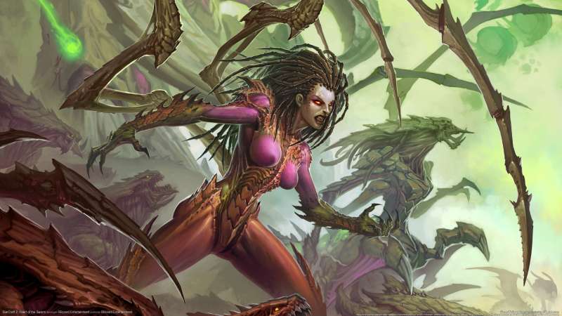 StarCraft 2: Heart of the Swarm fond d'cran