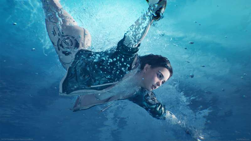 The First Descendant fond d'�cran