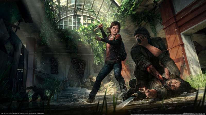 The Last of Us fond d'cran