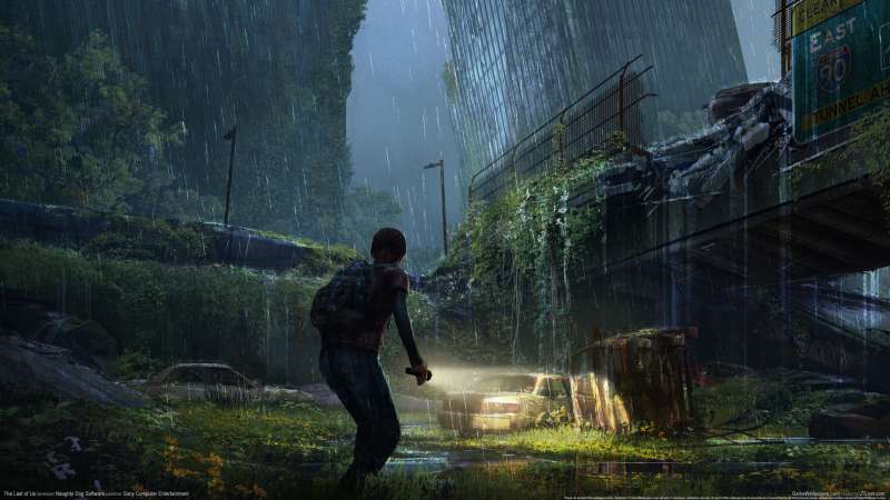 The Last of Us fond d'cran