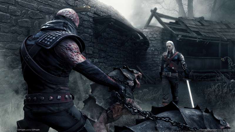 The Witcher fond d'cran