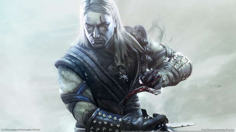 The Witcher fond d'cran