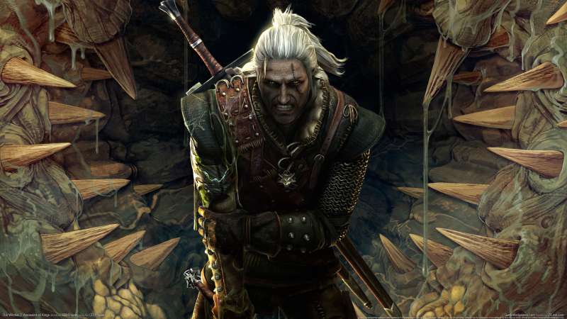 The Witcher 2: Assassins of Kings fond d'cran