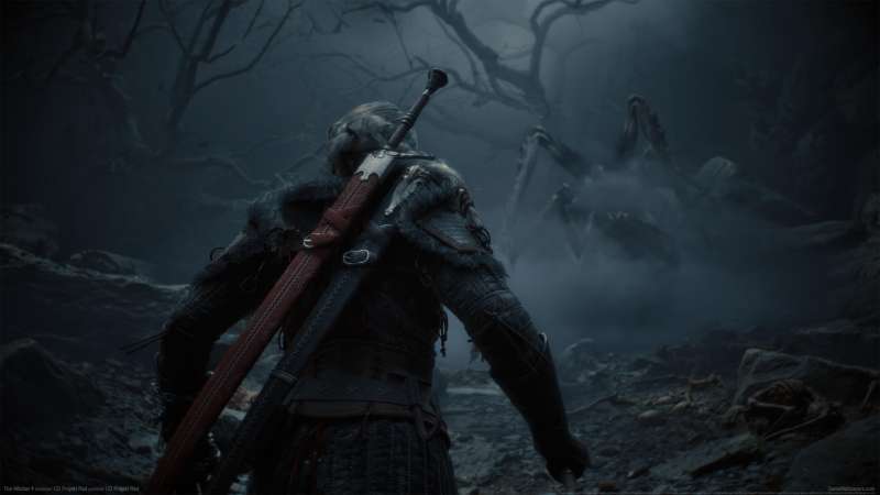 The Witcher 4 fond d'cran