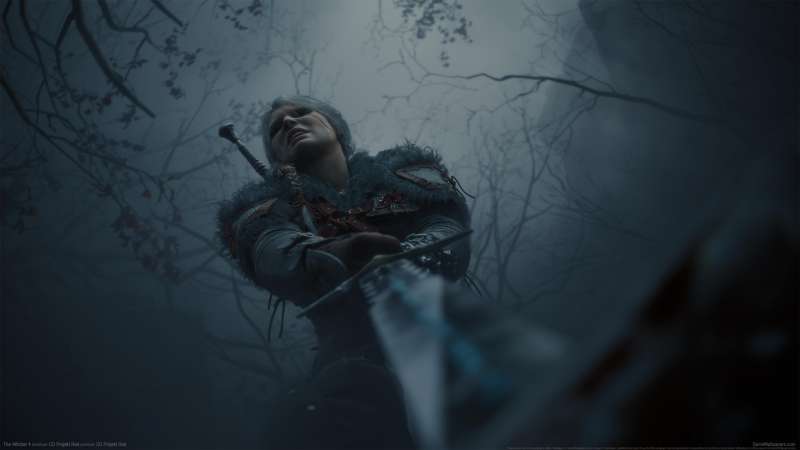 The Witcher 4 fond d'cran