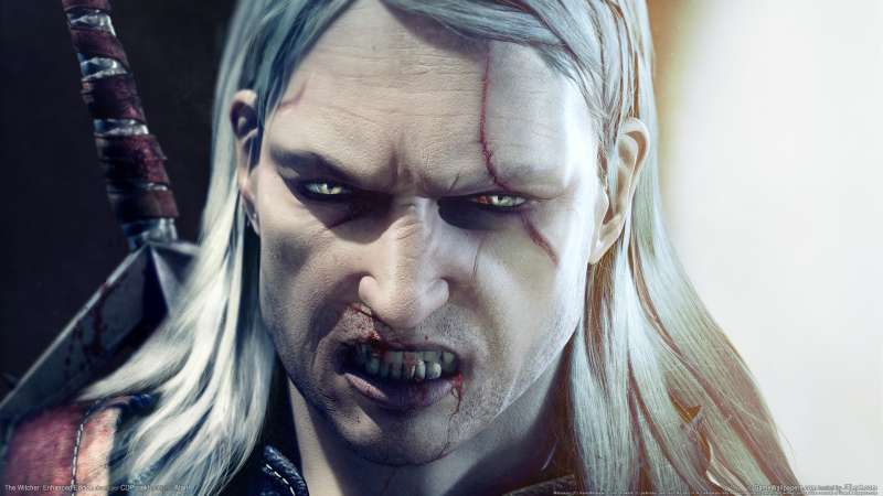 The Witcher: Enhanced Edition fond d'cran