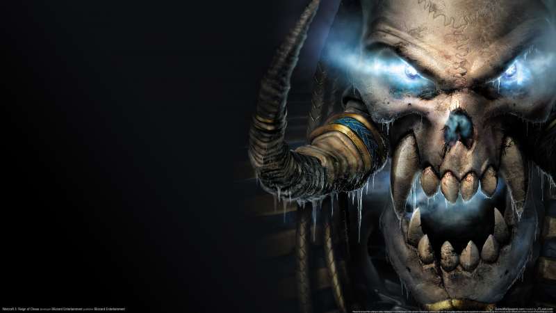 Warcraft 3: Reign of Chaos fond d'cran